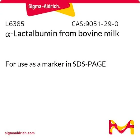Sigma-Aldrich α-乳清蛋白 来源于牛奶,用作SDS-PAGE中的标记
