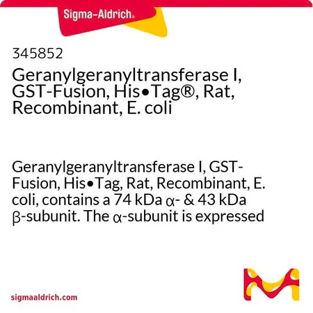 Sigma-Aldrich Geranylgeranyltransferase I, GST-Fusion, His•Tag®, Rat, Recombinant, E. coli,牛儿基牛儿基转移酶I,GST融合,His·Tag,大鼠,重组体,大肠杆菌,含有74 kDa α-和43 kDa β-亚基。α-亚基表达为GST融合构建体,N-末端带有His·Tag。