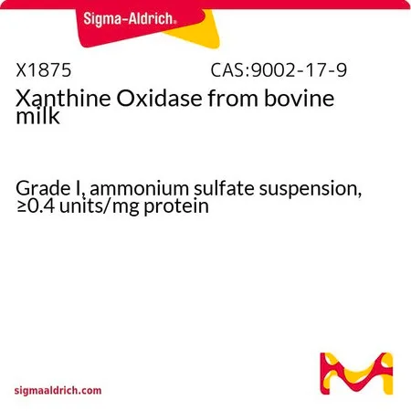 Sigma-Aldrich 黄嘌呤氧化酶 来源于牛奶，I级，硫酸铵混悬液，≥0.4单位/mg蛋白