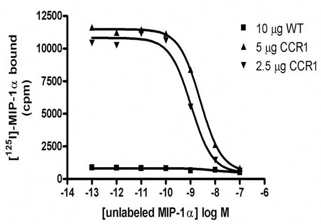 Sigma-Aldrich ChemiSCREEN CCR1 Membrane Preparation,用于放射性配体结合测定的人CCR 1 GPCR膜制备。
