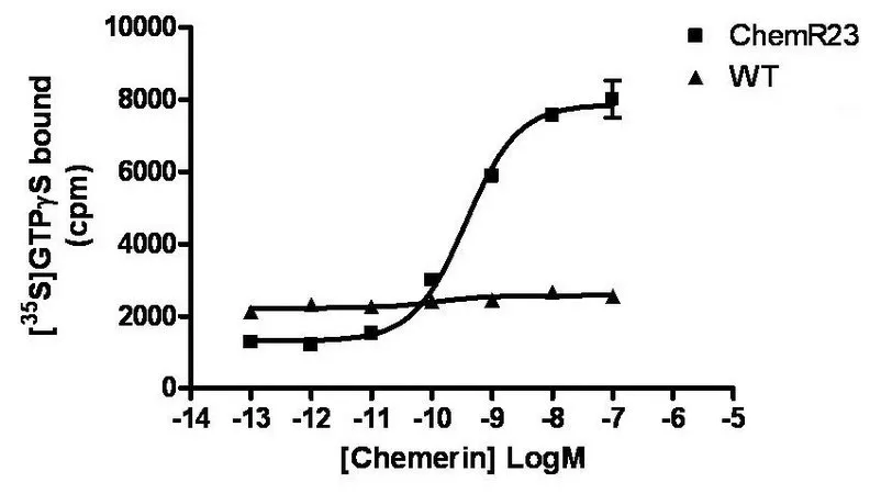 Sigma-Aldrich ChemiSCREEN Membrane Preparation Recombinant Human ChemR23 Chemoattractant Receptor，用于放射性配体结合试验和GTP γ S结合的人ChemR23/CMKLR1 GPCR膜制备。