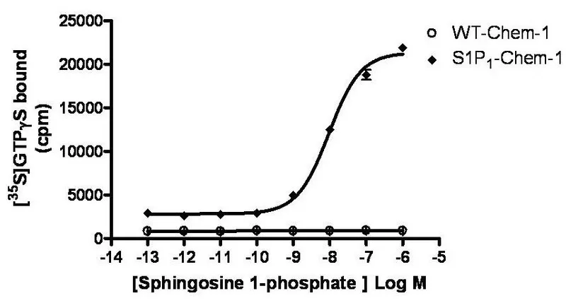 Sigma-Aldrich ChemiSCREEN Membrane Preparation Recombinant Human S1P1 Lysophospholipid Receptor,用于放射性配体结合试验和GTPγS结合的人S1 P1/EDG 1 GPCR膜制备。