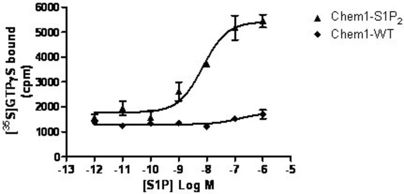 Sigma-Aldrich ChemiSCREEN Human Recombinant S1P2 Lysophospholipid Receptor Membrane Preparation,用于GTPγS结合和放射性配体结合试验的人S1 P2/EDG 5 GPCR膜制备。