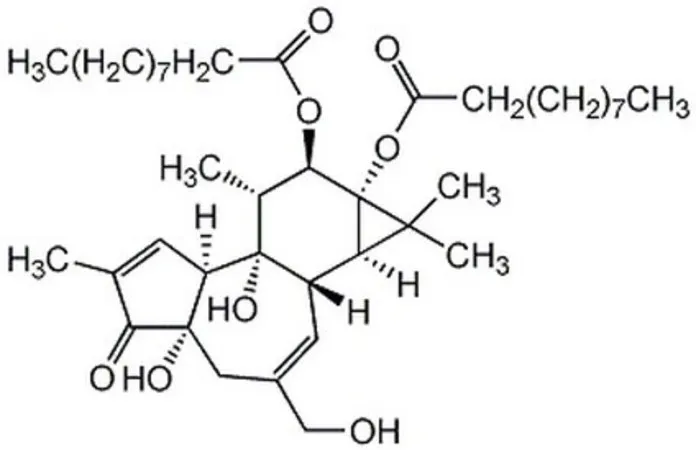 Sigma-Aldrich 4α-Phorbol-12,13-didecanoate，>99%（HPLC），固体，PDD和PMA阴性对照，Calbiochem®