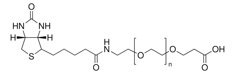 Sigma-Aldrich O-[2-(生物素基-氨基)乙基]-O′-(2-羧乙基)聚乙二醇 3000，3,000卢比