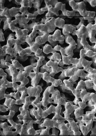 默克密理博 银膜过滤装置, 0.45 µm, 25 mm，Millipore，过滤器直径25 mm，亲水