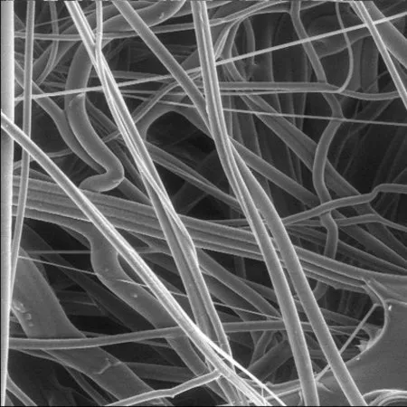 默克密理博 聚丙烯预过滤器,疏水性,5.0 µm,47 mm,微孔,过滤器直径47 mm,疏水