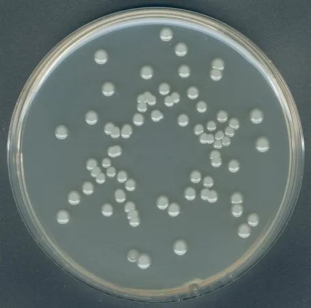 默克密理博 平板计数琼脂，NutriSelect® Plus，根据ISO 4833 - 1：，ISO 17410，GB 4789，粉末，用于细菌，500 g包，2.5 kg包