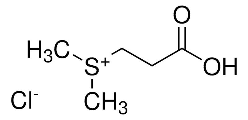 默克Supelco 二甲基丙酸噻亭盐酸盐 盐酸盐，PESTANAL®，分析标准品