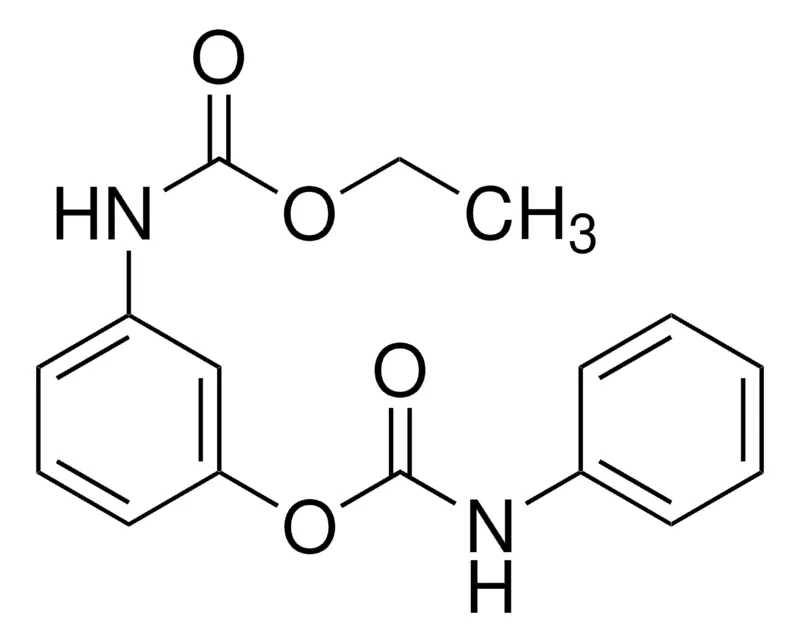 默克Supelco 甜菜安,PESTANAL®,分析标准品