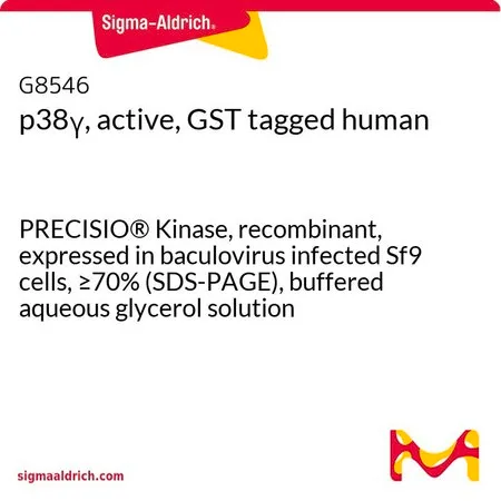 Sigma-Aldrich p38γ, active, GST tagged human,PRECISIO®激酶,重组,在杆状病毒感染的Sf 9细胞中表达,≥70%(SDS-PAGE),甘油缓冲水溶液