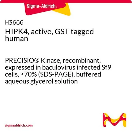 Sigma-Aldrich HIPK4, active, GST tagged human,PRECISIO®激酶,重组,在杆状病毒感染的Sf 9细胞中表达,≥70%(SDS-PAGE),甘油缓冲水溶液