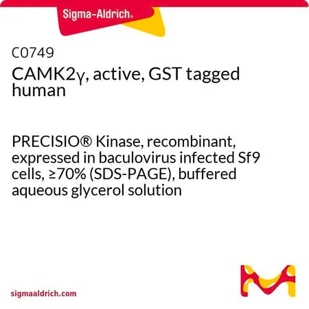 Sigma-Aldrich CAMK2γ, active, GST tagged human,PRECISIO®激酶,重组,在杆状病毒感染的Sf 9细胞中表达,≥70%(SDS-PAGE),甘油缓冲水溶液
