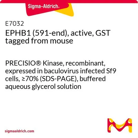 Sigma-Aldrich EPHB1 (591-end), active, GST tagged from mouse,PRECISIO®激酶,重组,在杆状病毒感染的Sf 9细胞中表达,≥70%(SDS-PAGE),甘油缓冲水溶液