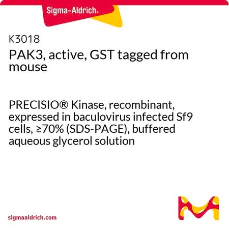 Sigma-Aldrich PAK3, active, GST tagged from mouse,PRECISIO®激酶,重组,在杆状病毒感染的Sf 9细胞中表达,≥70%(SDS-PAGE),甘油缓冲水溶液