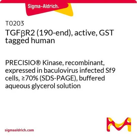 Sigma-Aldrich TGFβR2 (190-端),活性,GST 标记 人,PRECISIO®激酶,重组,在杆状病毒感染的Sf 9细胞中表达,≥70%(SDS-PAGE),甘油缓冲水溶液