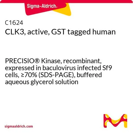Sigma-Aldrich CLK3, active, GST tagged human,PRECISIO®激酶,重组,在杆状病毒感染的Sf 9细胞中表达,≥70%(SDS-PAGE),甘油缓冲水溶液