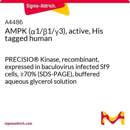 Sigma-Aldrich AMPK (α1/β1/γ3), active, His tagged human,PRECISIO®激酶,重组,在杆状病毒感染的Sf 9细胞中表达,≥70%(SDS-PAGE),甘油缓冲水溶液