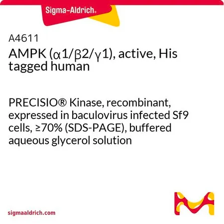 Sigma-Aldrich AMPK (α1/β2/γ1), active, His tagged human，PRECISIO®激酶，重组，在杆状病毒感染的Sf 9细胞中表达，≥70%（SDS-PAGE），甘油缓冲水溶液