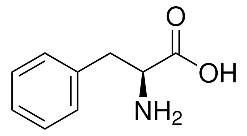 默克Supelco L-苯基丙氨酸,药用二级标准品;有证参考物质