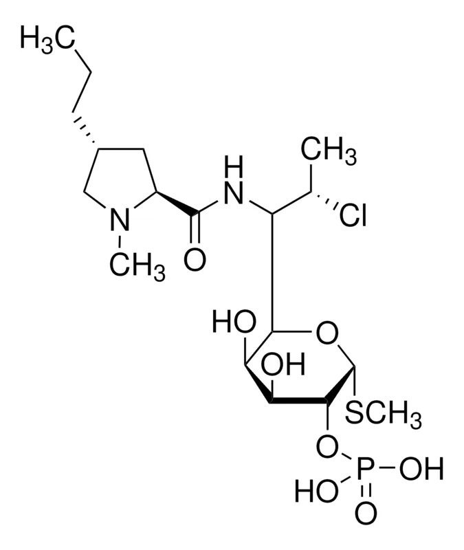 默克Supelco 磷酸克林霉素,药用二级标准品;有证参考物质