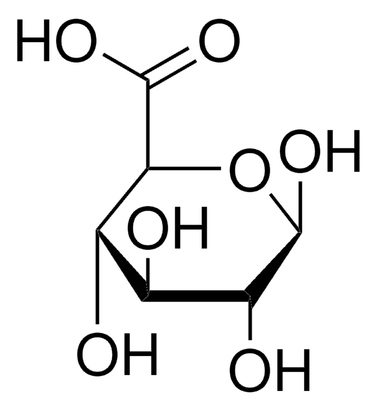 默克Supelco D-葡萄糖醛酸,药用二级标准品;有证参考物质