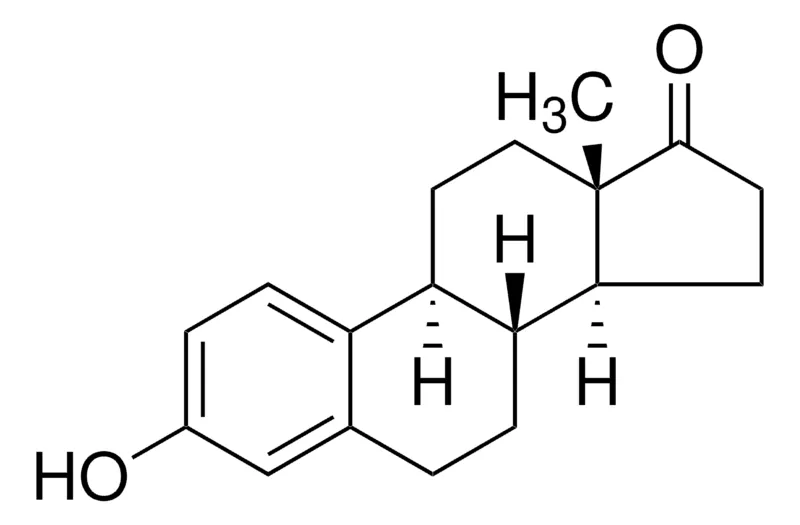默克Supelco 雌素酮,药用二级标准品;有证参考物质