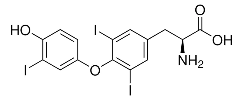 默克Supelco 3,3′,5-三碘代-L-甲状腺原氨酸,药用二级标准品;有证参考物质