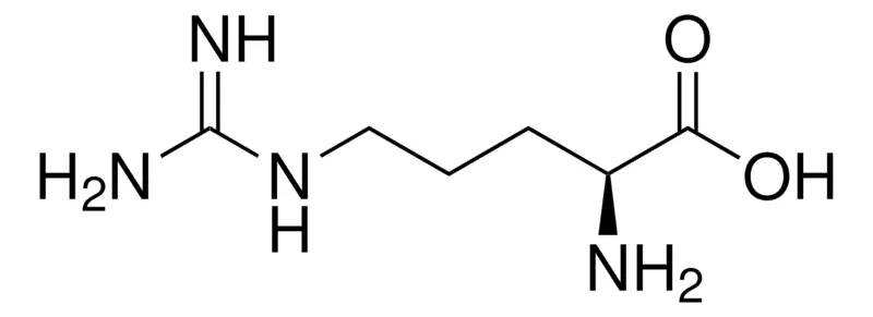 默克Supelco L-精氨酸,药用二级标准品;有证参考物质
