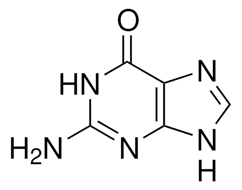 默克Supelco 鸟嘌呤,药用二级标准品;有证参考物质