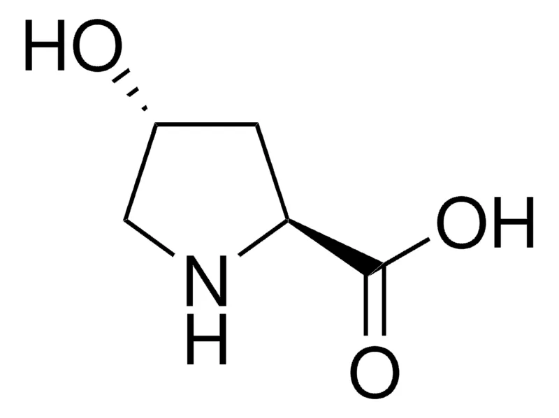 默克Supelco 羟脯氨酸，药用二级标准品;有证参考物质