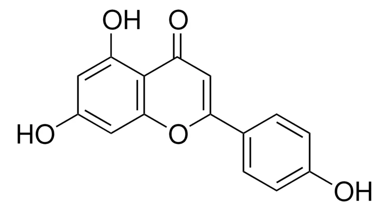 默克Supelco 芹菜素,药用二级标准品;有证参考物质