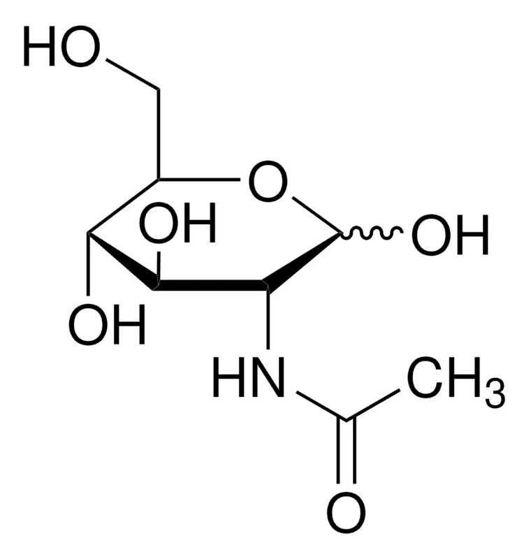 默克Supelco N-乙酰氨基葡萄糖,药用二级标准品;有证参考物质