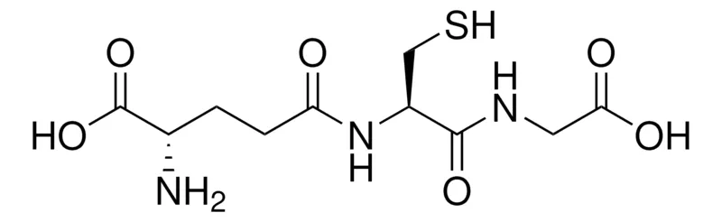默克Supelco 谷胱甘肽,药用二级标准品;有证参考物质