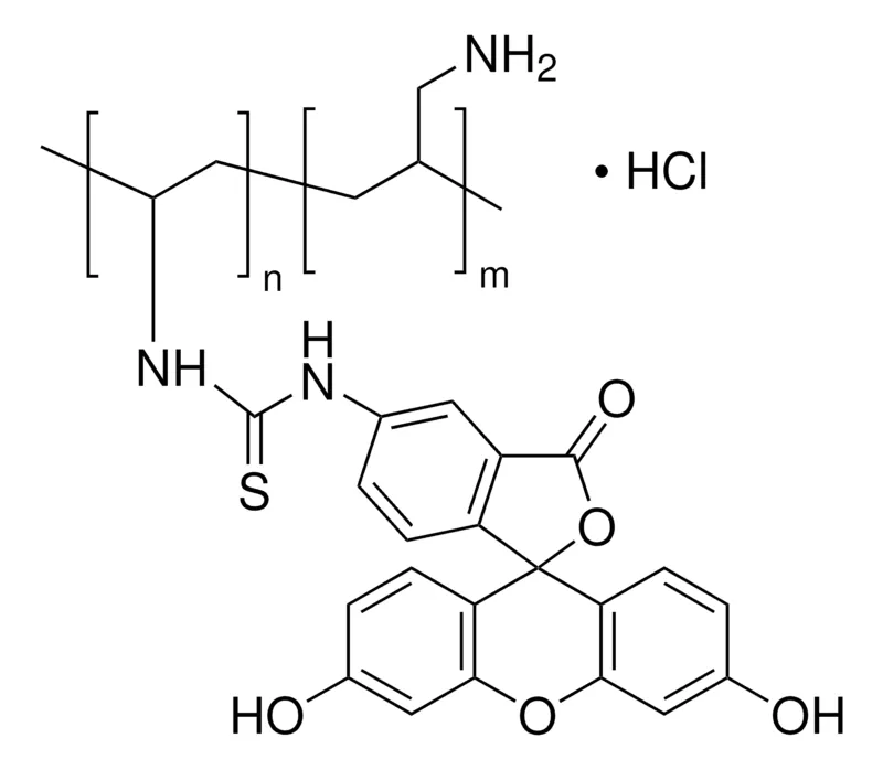 Sigma-Aldrich 聚(异硫氰酸荧光素烯丙胺盐酸盐)，聚（烯丙胺盐酸盐）：异硫氰酸荧光素50：1