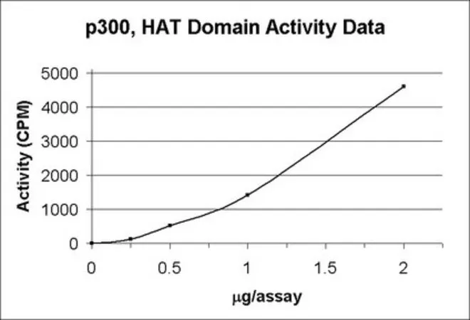 Sigma-Aldrich p300,HAT域