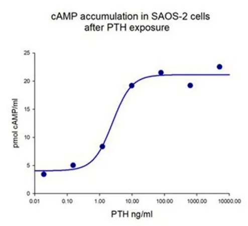 Sigma-Aldrich Parathyroid Hormone (1-84) Human,在大肠杆菌中表达的重组