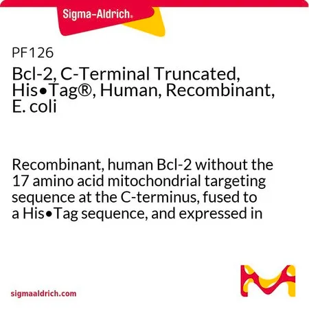 Sigma-Aldrich Bcl-2, C-Terminal Truncated, His•Tag®, Human, Recombinant, E. coli，重组人Bcl-2，C端无17个氨基酸的线粒体靶向序列，融合His·Tag序列，并在大肠杆菌中表达。
