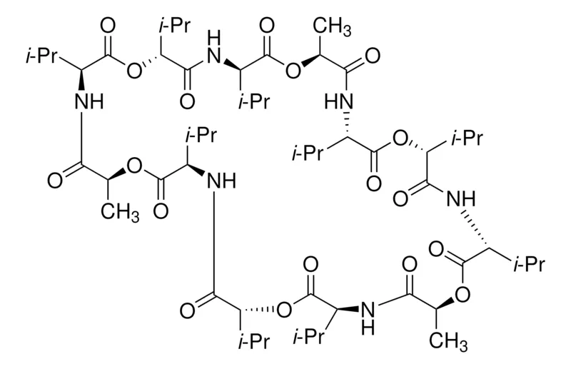默克Supelco 钾离子载体 I - 混合物 B，Selectophore™
