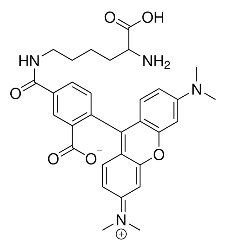 Sigma-Aldrich Rhodamine labeled D-Lysine,适用于荧光微生物成像