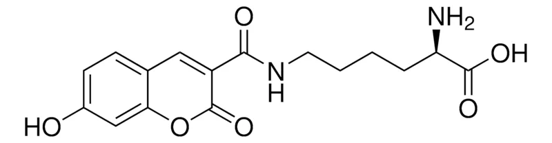 Sigma-Aldrich Coumarin Labeled D-Lysine,适用于荧光微生物成像