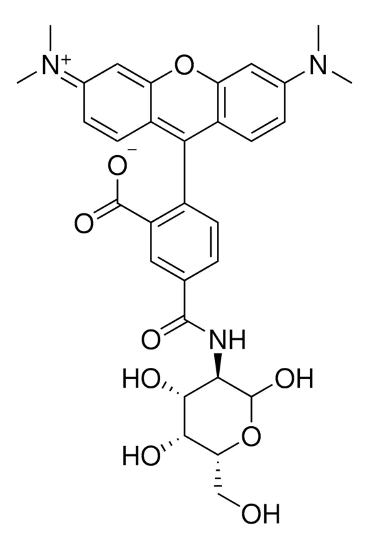 Sigma-Aldrich Rhodamine Labeled D-galactosamine,适用于荧光微生物成像