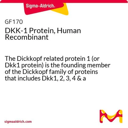 Sigma-Aldrich DKK-1 Protein, Human Recombinant,Dickkopf相关蛋白1(或Dkk 1蛋白)是Dickkopf蛋白家族的创始成员,包括Dkk 1,2,3,4和相关蛋白Soggy。
