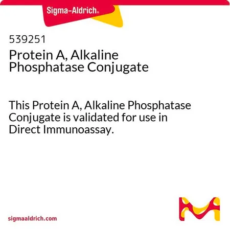 Sigma-Aldrich Protein A, Alkaline Phosphatase Conjugate,该蛋白A碱性磷酸酶结合物经验证可用于直接免疫测定。