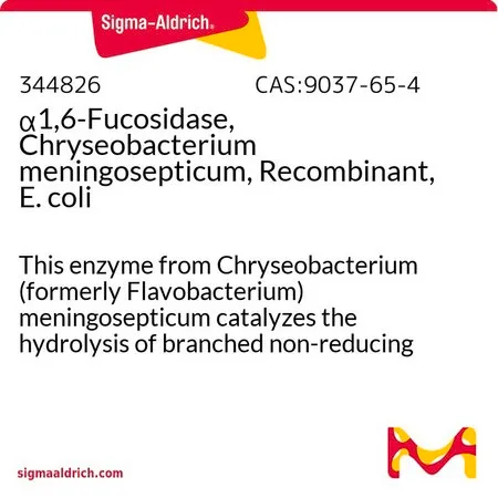 Sigma-Aldrich α1,6-岩藻糖苷酶,脑膜炎败血性金黄杆菌,重组,大肠埃希菌,这种来自脑膜败血金黄杆菌(原黄杆菌)的酶催化N-连接寡糖的N-乙酰葡糖胺核心的支链非还原末端α 1,6-连接岩藻糖残基的水解。