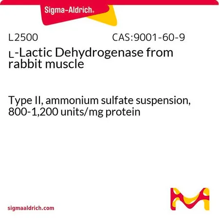 Sigma-Aldrich L-乳酸脱氢酶 来源于兔肌肉,II型,硫酸铵混悬液,800 - 1,200单位/mg蛋白质