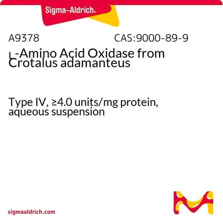 Sigma-Aldrich L-Amino Acid Oxidase from Crotalus adamanteus,IV型,≥4.0单位/mg蛋白质,水性混悬液