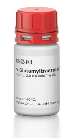 Sigma-Aldrich γ-Glutamyltranspeptidase from porcine kidney，IV型，2.0-6.0单位/mg固体