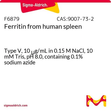 Sigma-Aldrich 铁蛋白 来源于人类脾脏,V型,10 μg/mL,溶于0.15 M NaCl、10 mM Tris(pH 8.0)中,含0.1%叠氮化钠