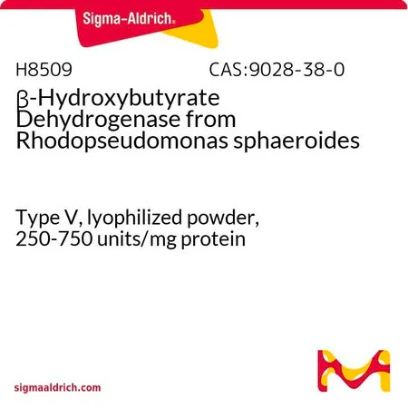 Sigma-Aldrich β-羟丁酸脱氢酶 来源于球形红假单胞菌,V型,冻干粉,250-750单位/mg蛋白质